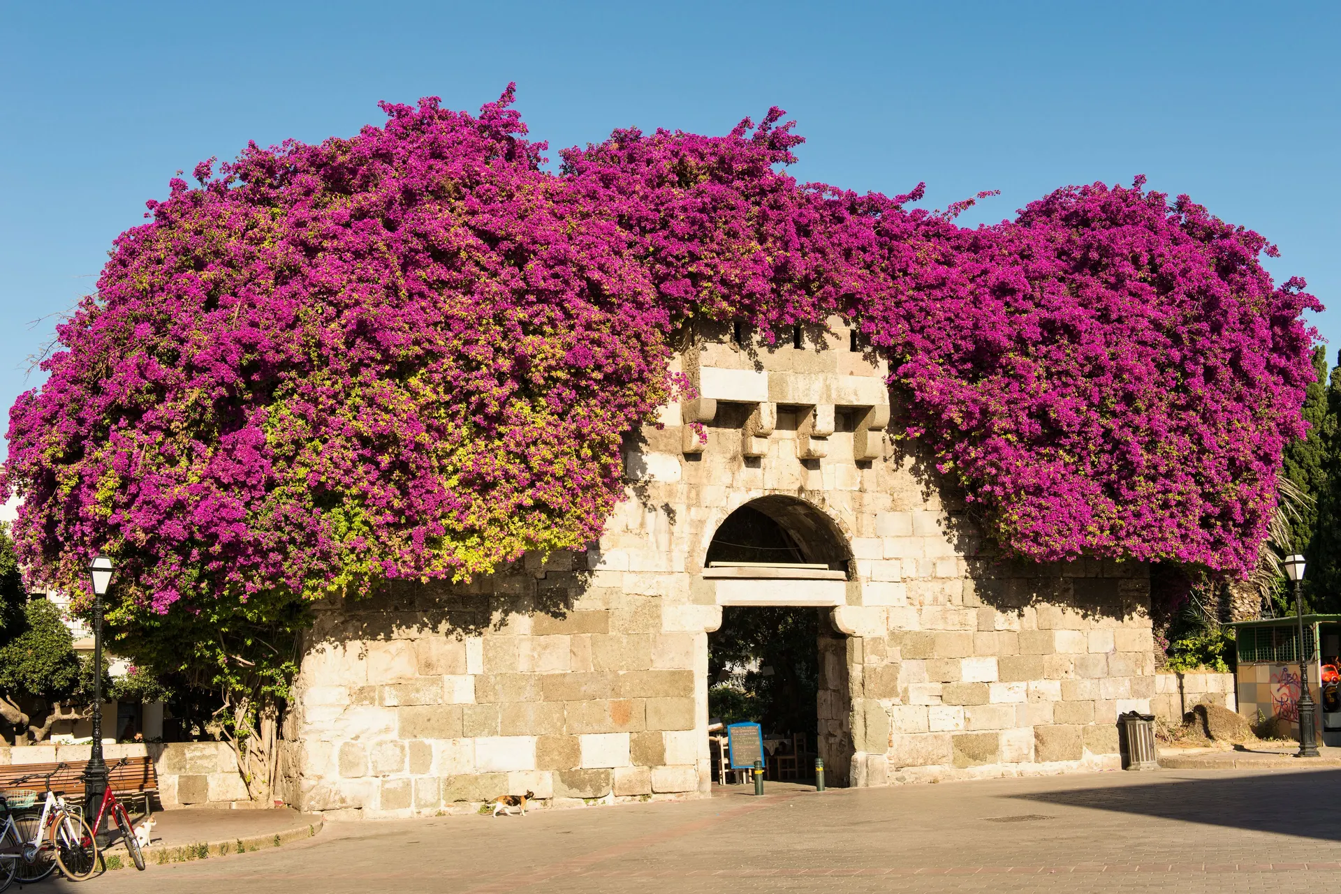 Stenen poort in Kos-stad, overwoekerd met paarse bougainville